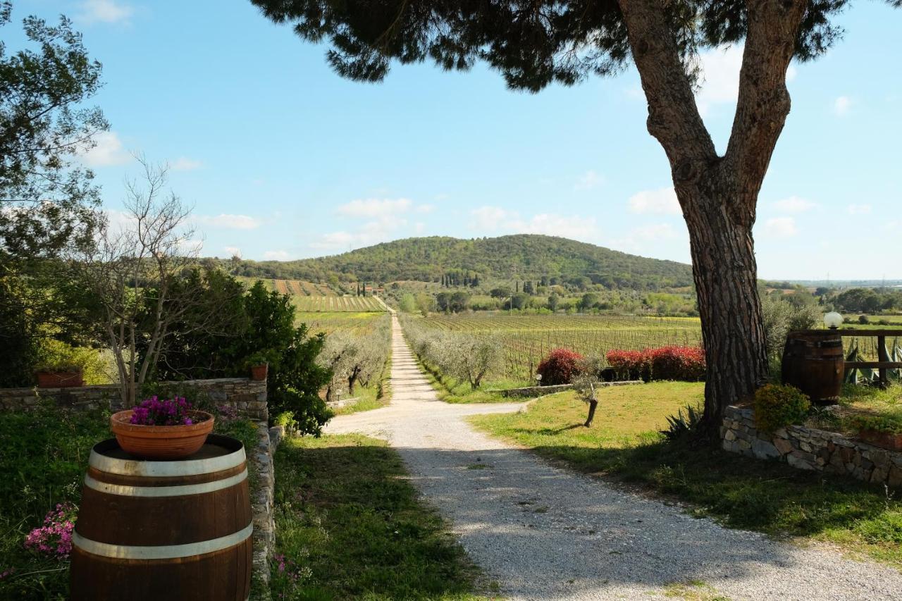 Agriturismo Biologico Bulichella ชูเวเรโต ภายนอก รูปภาพ