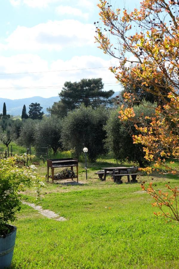 Agriturismo Biologico Bulichella ชูเวเรโต ภายนอก รูปภาพ