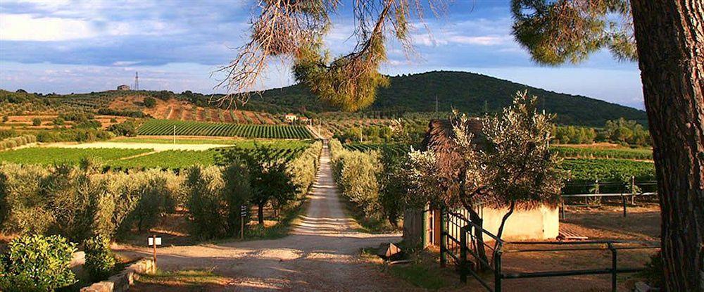 Agriturismo Biologico Bulichella ชูเวเรโต ภายนอก รูปภาพ
